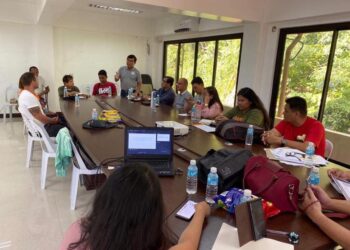 Provincial Gov’t creates novel coronavirus special committee