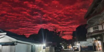 Photo Courtesy: Angela Lota