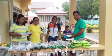LGU San Fernando inilunsad ang proyektong ‘Bahay ko, Garden ko’
