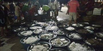 Illegal Fishing Apprehended by authorities in Banton