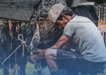 Balik Probinsya, feasible nga ba?