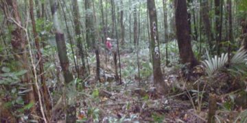 Environment Group nanawagan na huwag ituloy ang Road Project na dadaan sa Mt. Guiting-Guiting