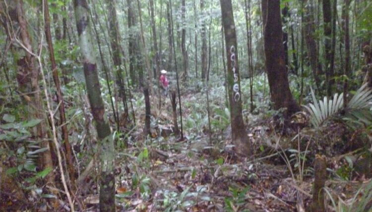 Environment Group nanawagan na huwag ituloy ang Road Project na dadaan sa Mt. Guiting-Guiting