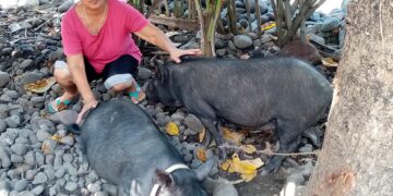 DOST-Mimaropa promotes Community Empowerment in Yook, Marinduque