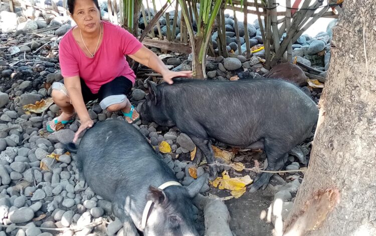 DOST-Mimaropa promotes Community Empowerment in Yook, Marinduque