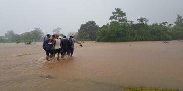 Courtesy: Elleonor Royo