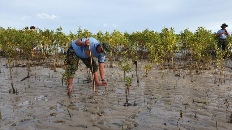 PNP Mimaropa Eco-Warriors, nagtanim ng 15,000 punong kahoy