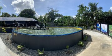 The Rise of Smart Aquaculture in MIMAROPA: Fostering Food Security through S&T Solutions