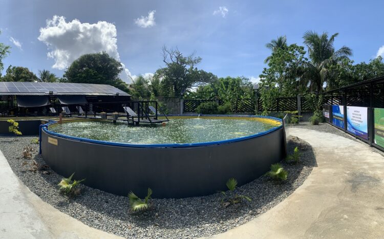 The Rise of Smart Aquaculture in MIMAROPA: Fostering Food Security through S&T Solutions