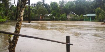 Photo Courtesy: Francis Mondia