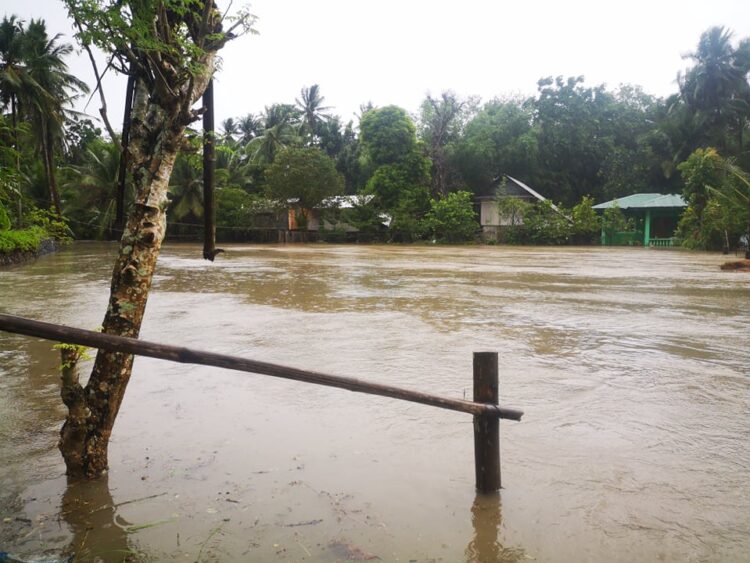 Photo Courtesy: Francis Mondia