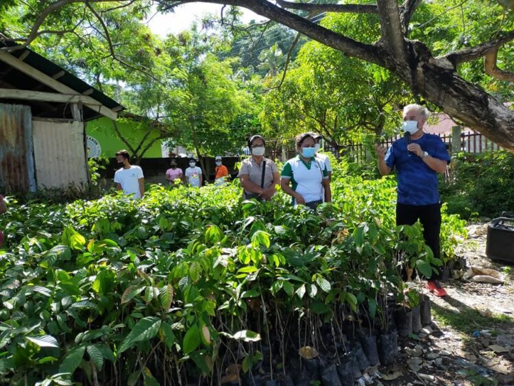 Ready-to-plant na mga seedlings, pinamahagi ng LGU Romblon
