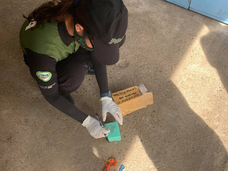 Photo Courtesy: PDEA Romblon