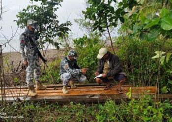 Abandoned illegal lumbers confiscated in Sibuyan Island