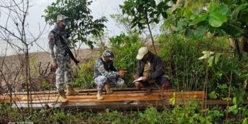 Abandoned illegal lumbers confiscated in Sibuyan Island