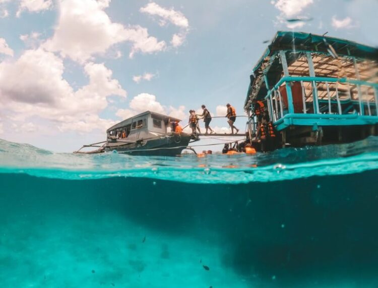 Looc Fish Sanctuary now open for fully-vaccinated tourists; offers 25% discount