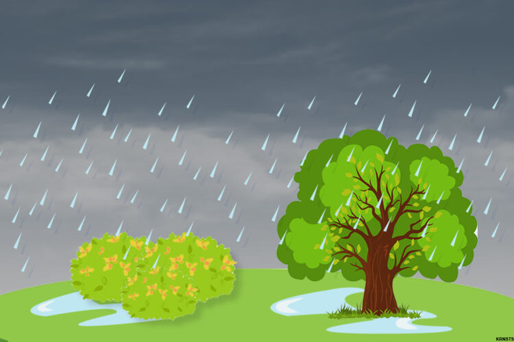 2 LPAs spotted in PH waters Saturday