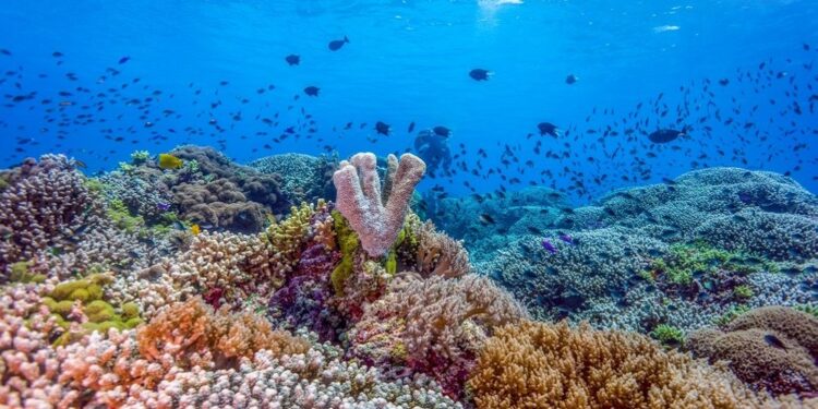 PH remains Asia’s top beach, dive destination