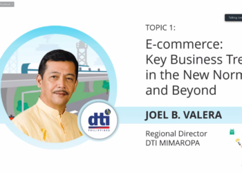 E-commerce sa Mimaropa, lumakas sa gitna ng pandemya
