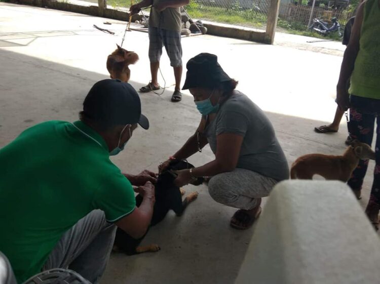 Odiongan LGU naglunsad ng mass anti-rabies vaccination