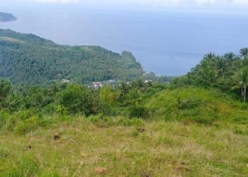 3 Sitio electrification project ng TIELCO at NEA, natapos bago mag-pasko