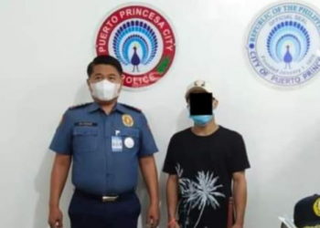 Isang NPA sa Palawan sumuko, mga baril at bala narekober