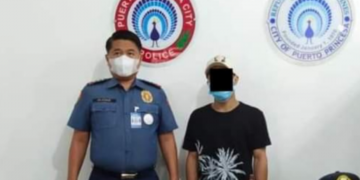 Isang NPA sa Palawan sumuko, mga baril at bala narekober