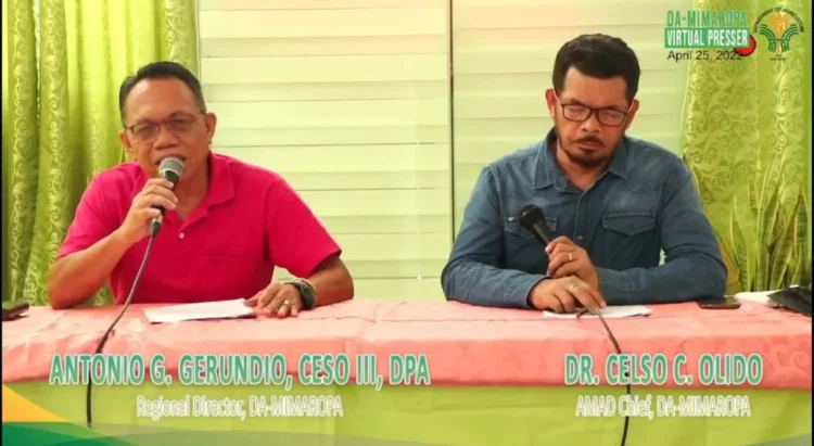 Pagtukoy ng mga buyers, dapat matutunan ng mga magsasaka — DA Mimaropa