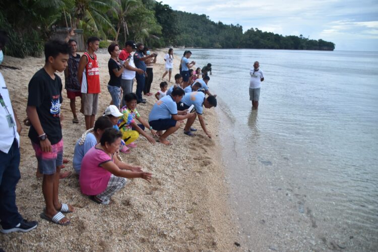 50 na green sea turtle, pinakawalan ng PNP sa Romblon