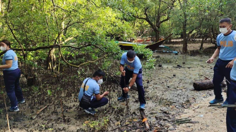 500 mangrove, itinanim ng Calatrava PNP