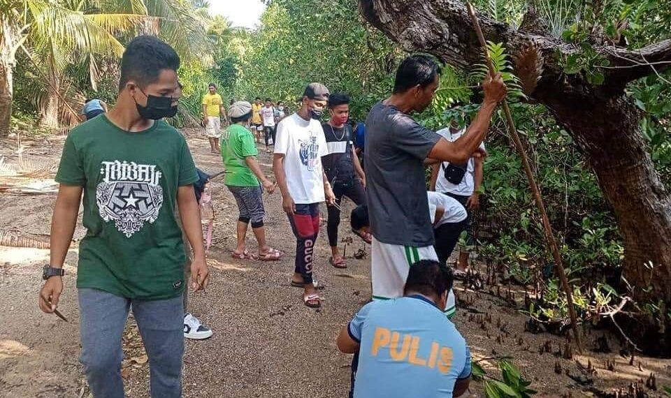 750 Mangrove seedlings, itinanim sa Cajidiocan, Romblon