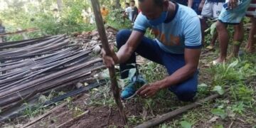 300 Narra seedlings itinanim ng San Fernando PNP sa Romblon.