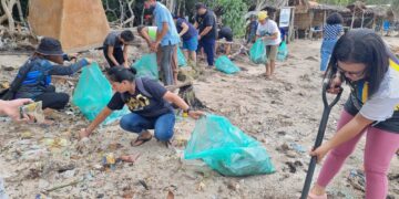 APO Capitol Palawan clear beaches of plastic wastes, storm debris