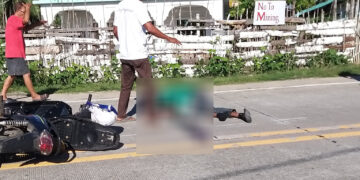 Rider, nasawi matapos sumemplang dahil sa aso