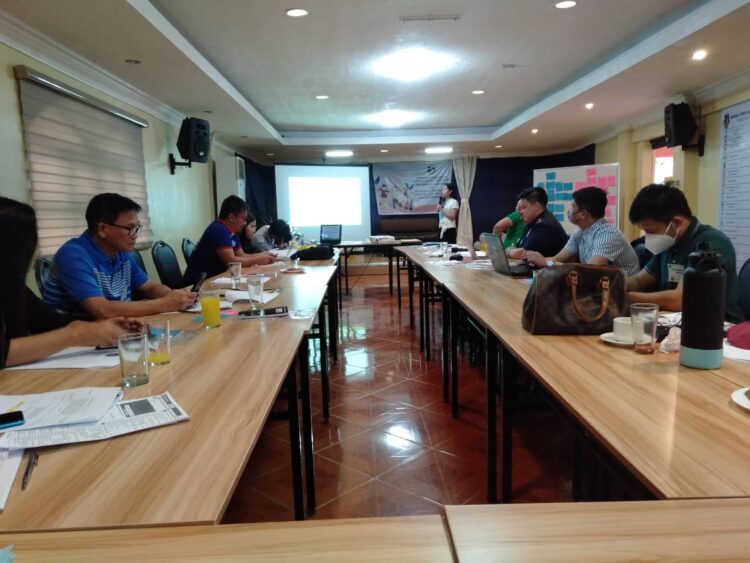 Mimaropa Regional Council Against Child Labor, itinatag