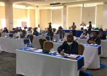 DILG Mimaropa holds orientation to enhance re-elected mayors’ competencies