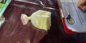 PBGen Hernia lauds the recovery of NPA explosives, ammunition in Oriental Mindoro