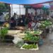 NGO to help LGU Odiongan craft an effective SOGIE ordinance