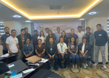 MGB MIMAROPA holds workshop on standardization of environmental protection, enhancement program