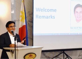 RDC MIMAROPA conducts RDP consultation; regional planning committees discuss priorities