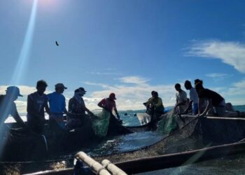 MIMAROPA, umambag ng 7.47 porsyento ng kabuoang produksyon ng isda sa bansa para sa taong 2022