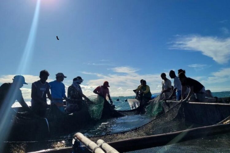 MIMAROPA, umambag ng 7.47 porsyento ng kabuoang produksyon ng isda sa bansa para sa taong 2022