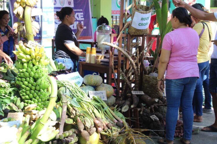 Murang gulay, mabibili sa Mini Agro-Fair ng Alcantara