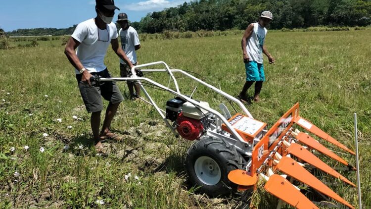 DAR, nagbigay ng makinang pang-ani ng palay sa 2 grupo ng magsasaka