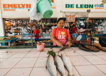 Dispatches from a Disaster: “Worse than COVID”