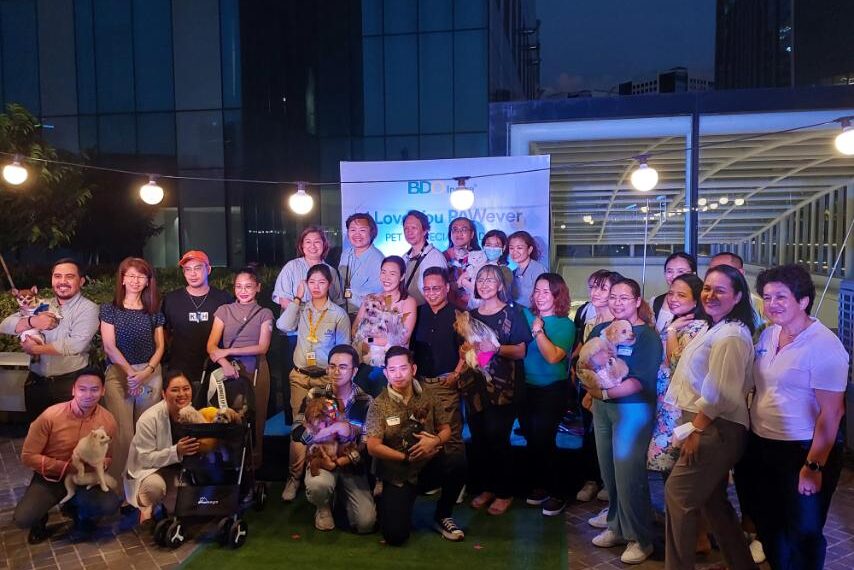 BDO Insure offers protection for pet dogs and cats