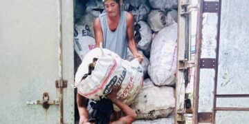 Kilo-kilong binhi ng ube at luya, binigay ng DA SAAD sa Santa Maria