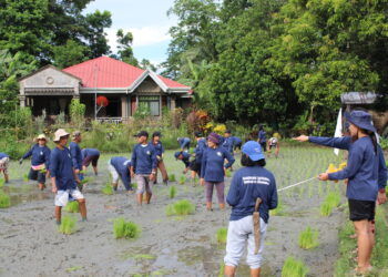 Rice Planting Festival, isinagawa sa Odiongan