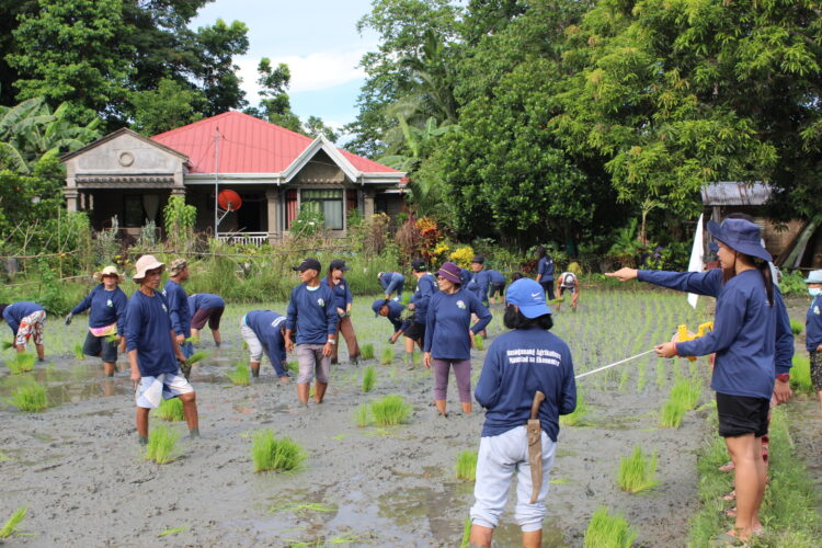 Rice Planting Festival, isinagawa sa Odiongan