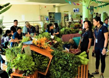 Kadiwa ng Pangulo opens in Mimaropa